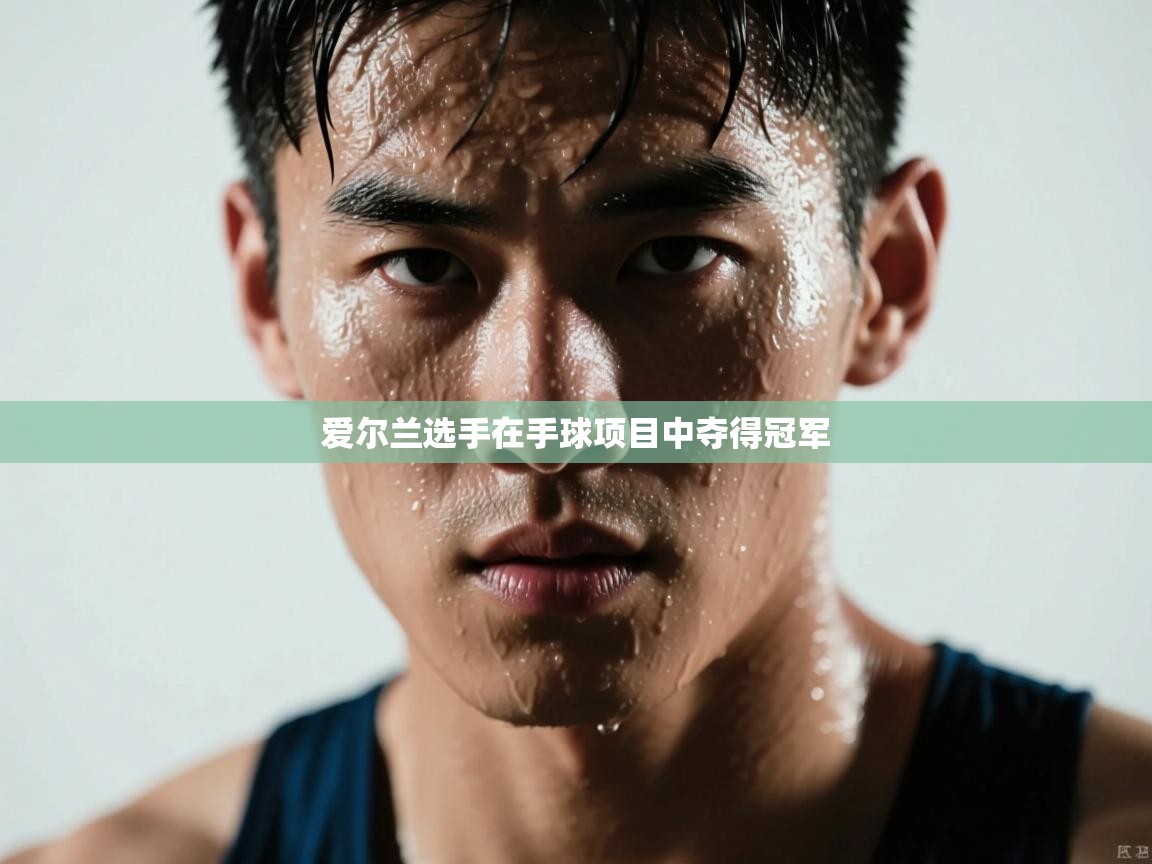 爱尔兰选手在手球项目中夺得冠军  第2张