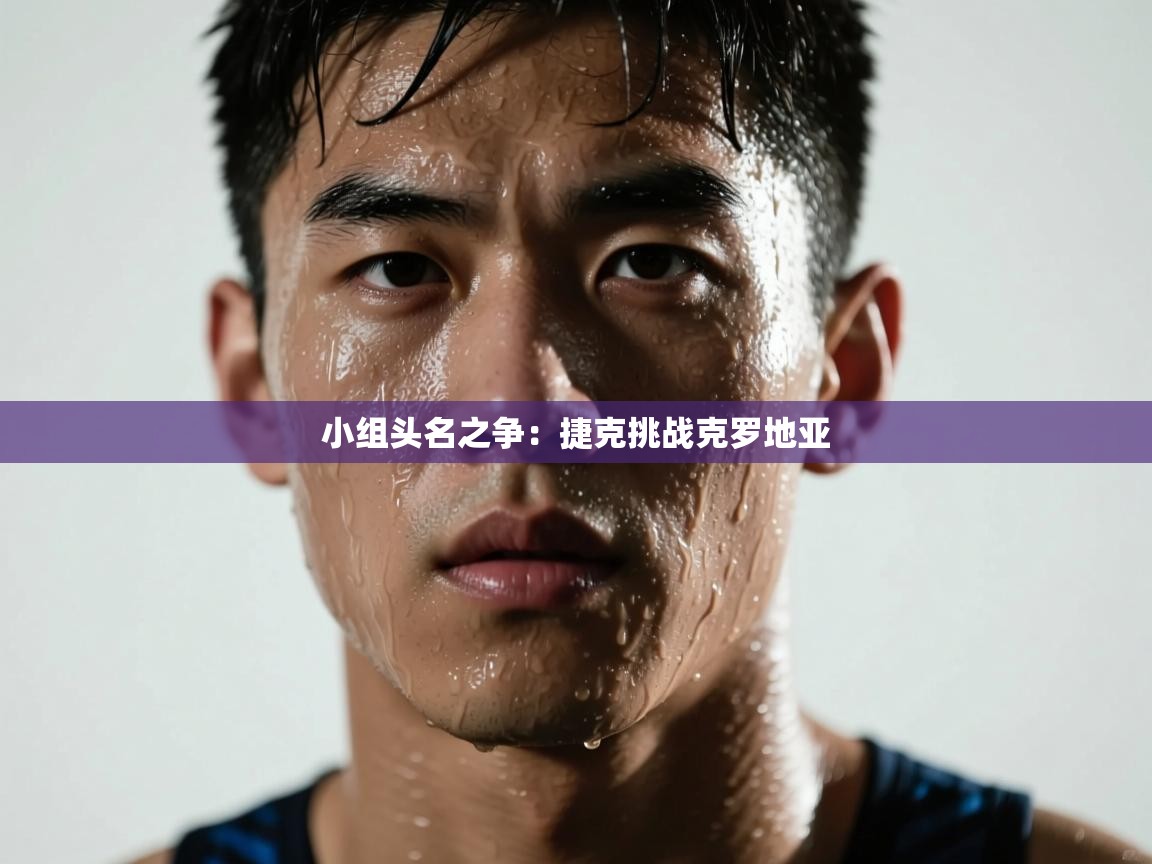 小组头名之争：捷克挑战克罗地亚  第1张