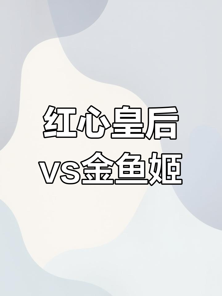 金牌之争，激情碰撞，谁将笑到最后